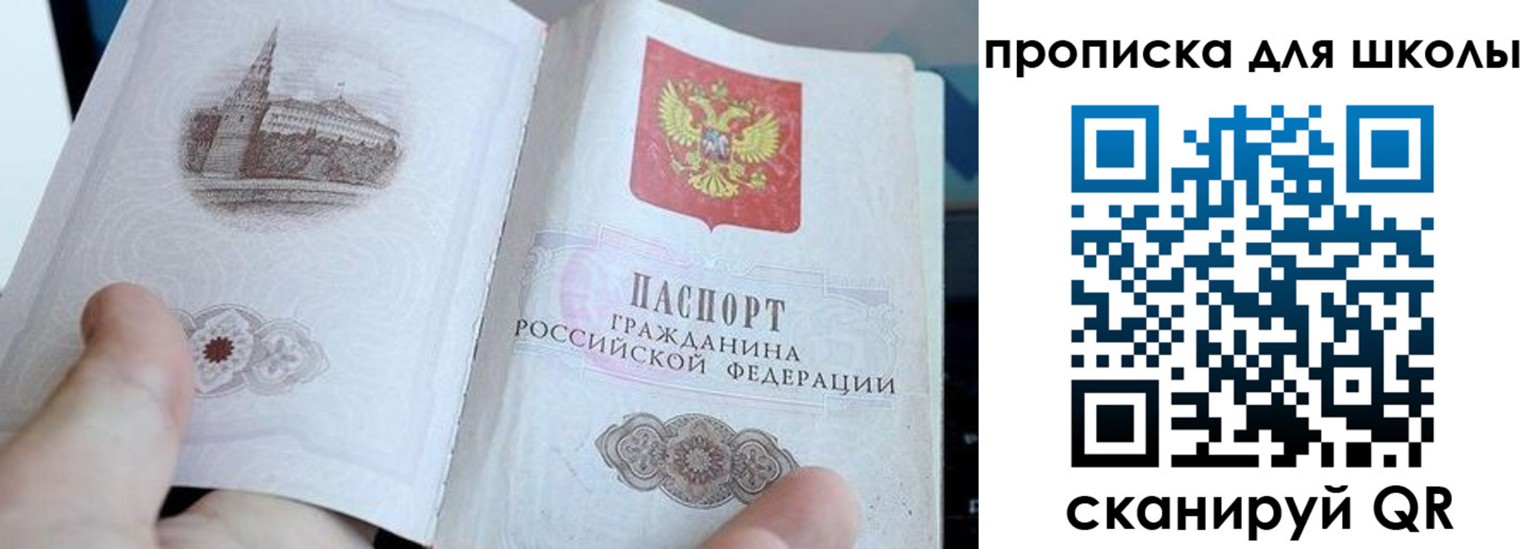 временная регистрация законно в Елизово